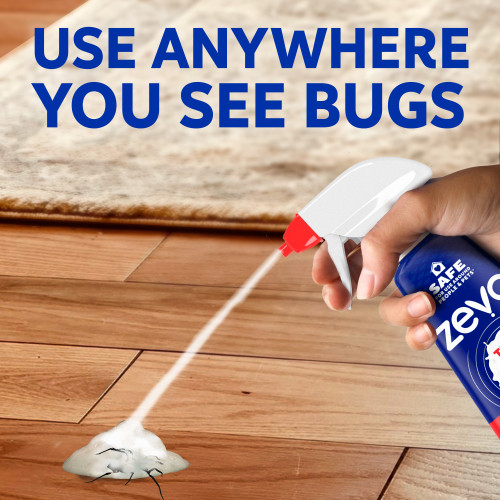 Zevo Trap & Kill Foam Insect Killer for Roaches & Spiders 12oz - Image 7
